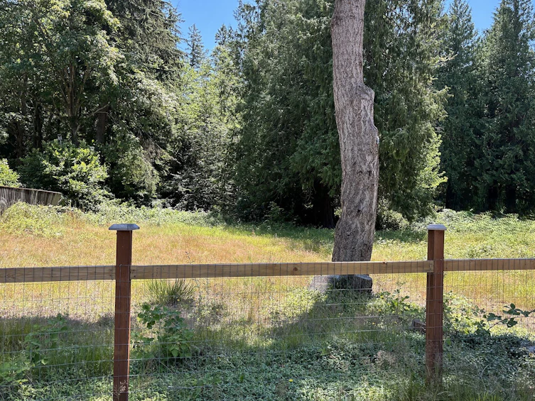 6906 Cranberry Street, Powell River, BC, V8A 3Z5 - 3