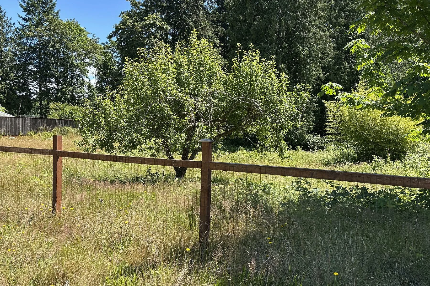 6906 Cranberry Street, Powell River, BC, V8A 3Z5 - 5