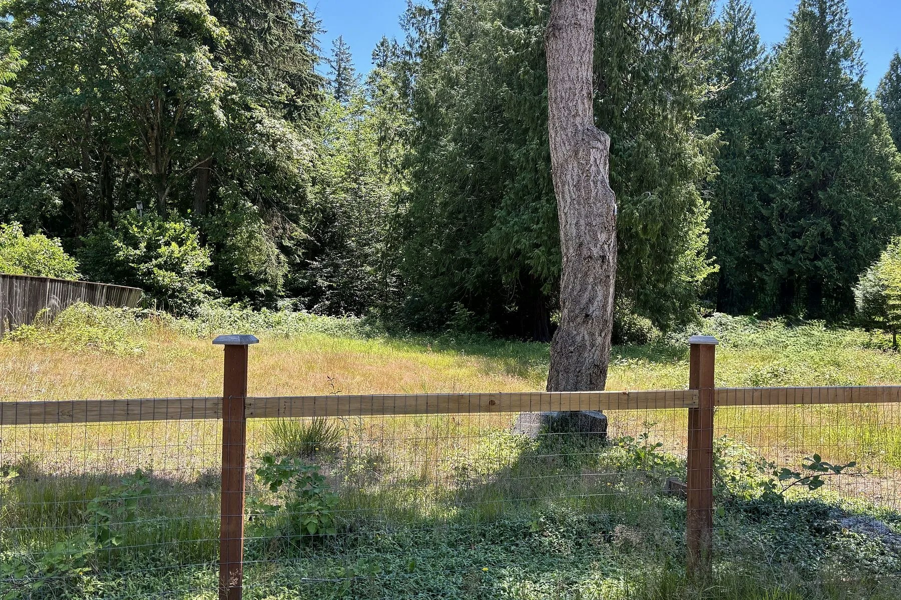6906 Cranberry Street, Powell River, BC, V8A 3Z5 - 3
