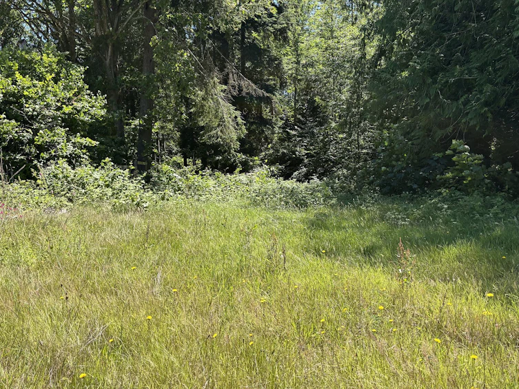 6906 Cranberry Street, Powell River, BC, V8A 3Z5
