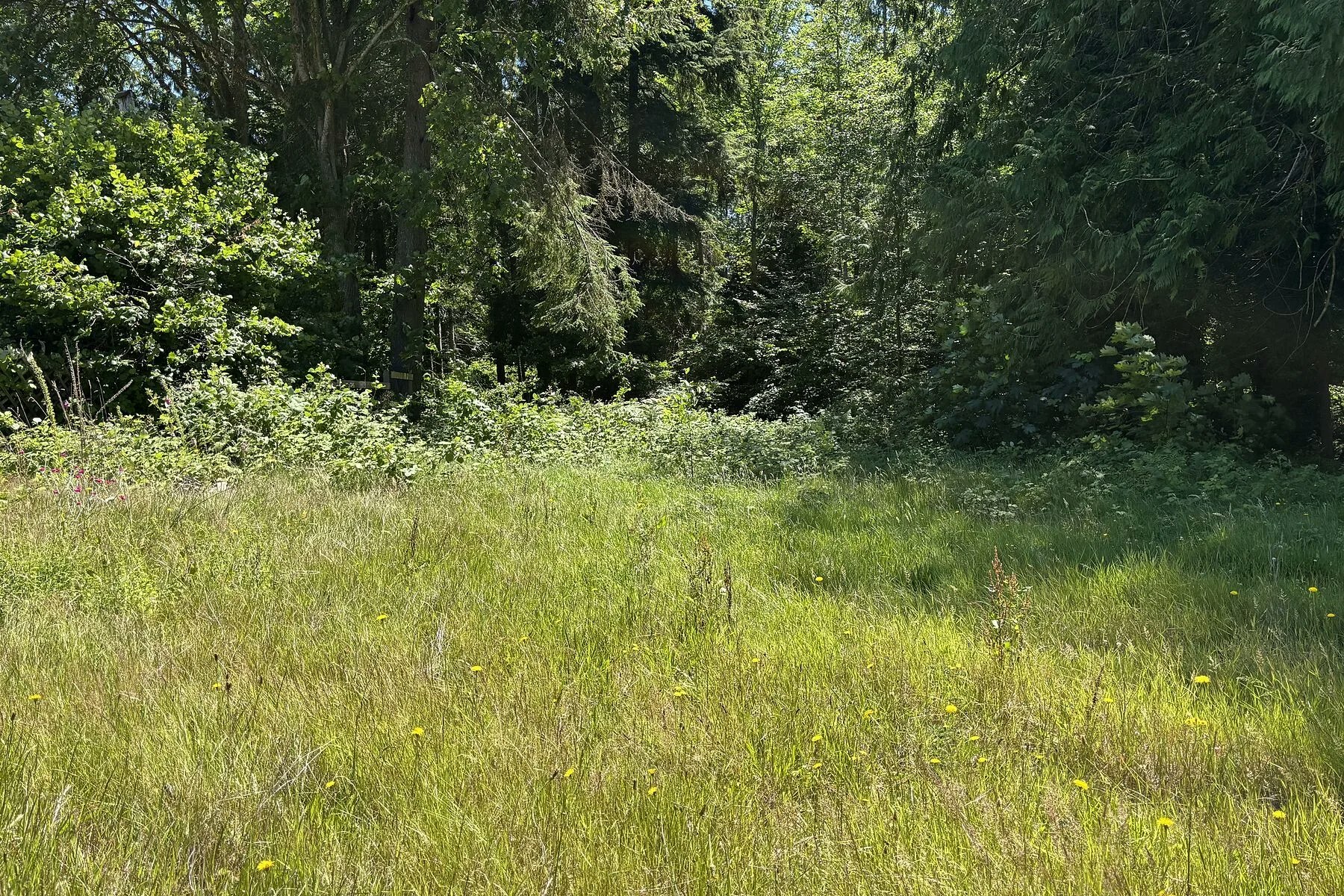 6906 Cranberry Street, Powell River, BC, V8A 3Z5