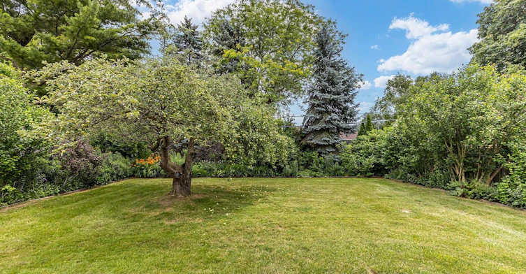 25 Abinger Crescent, Toronto, ON, M9B 2Y4 - 44