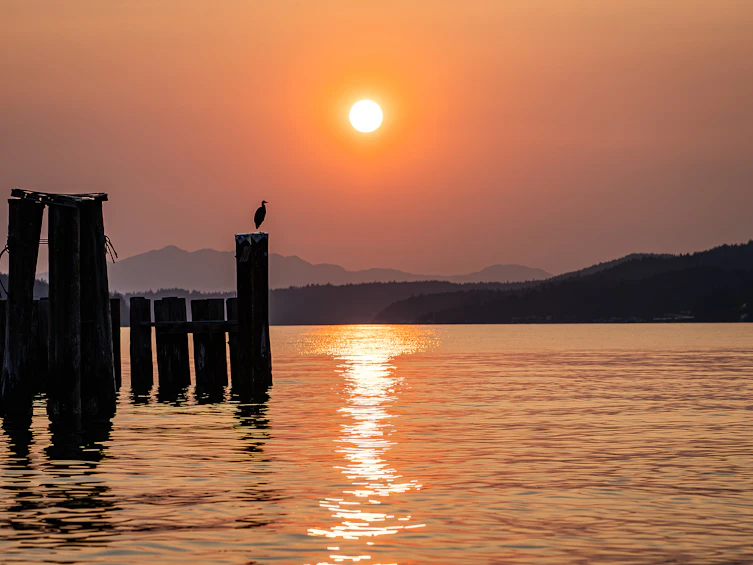4514 Sunshine Coast 1 Highway, Sechelt, BC, V7Z 0G9 - 33