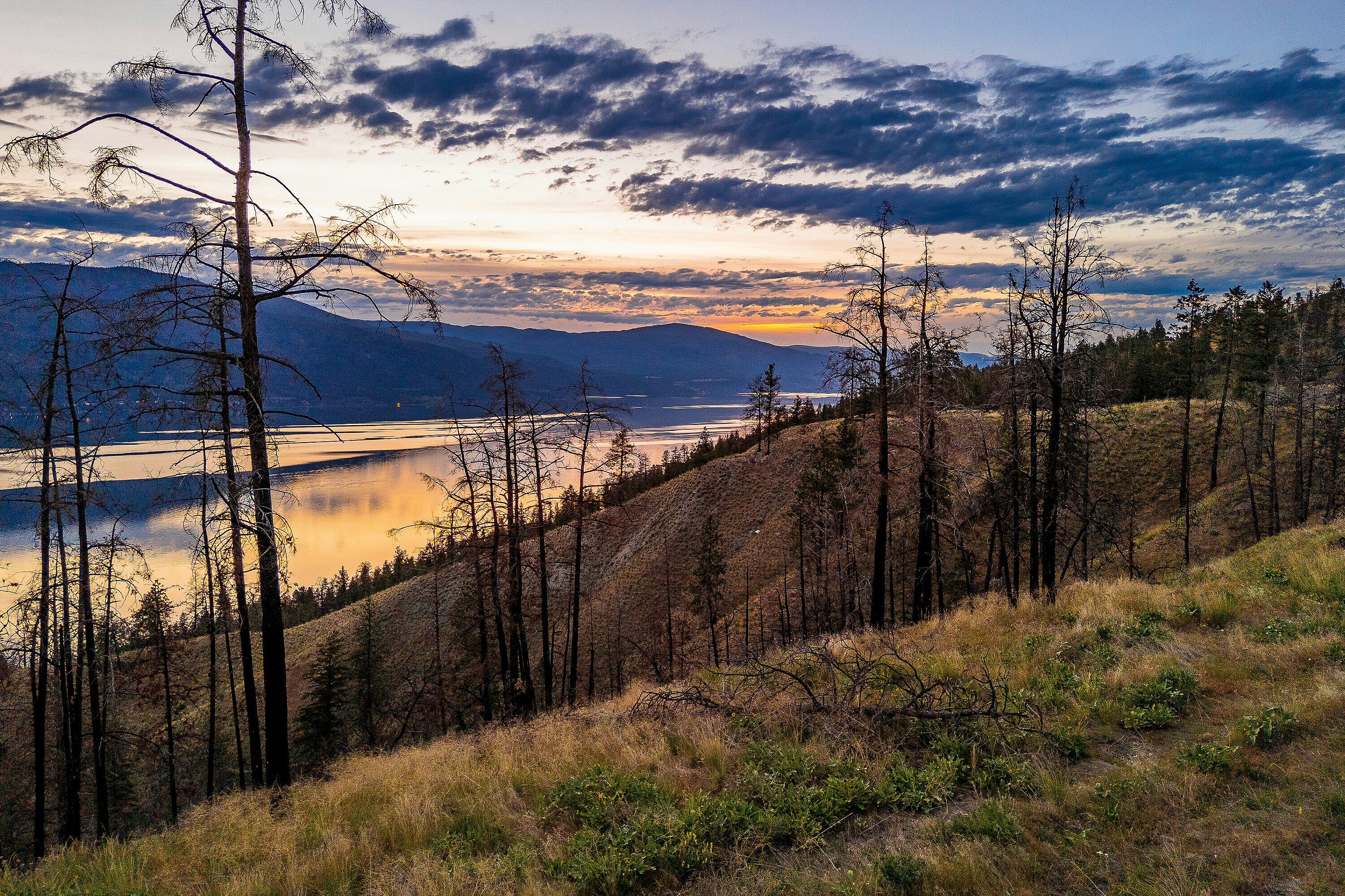 Lot-1 Tyndall Road, Lake Country, BC, V4V 0A9 - 28