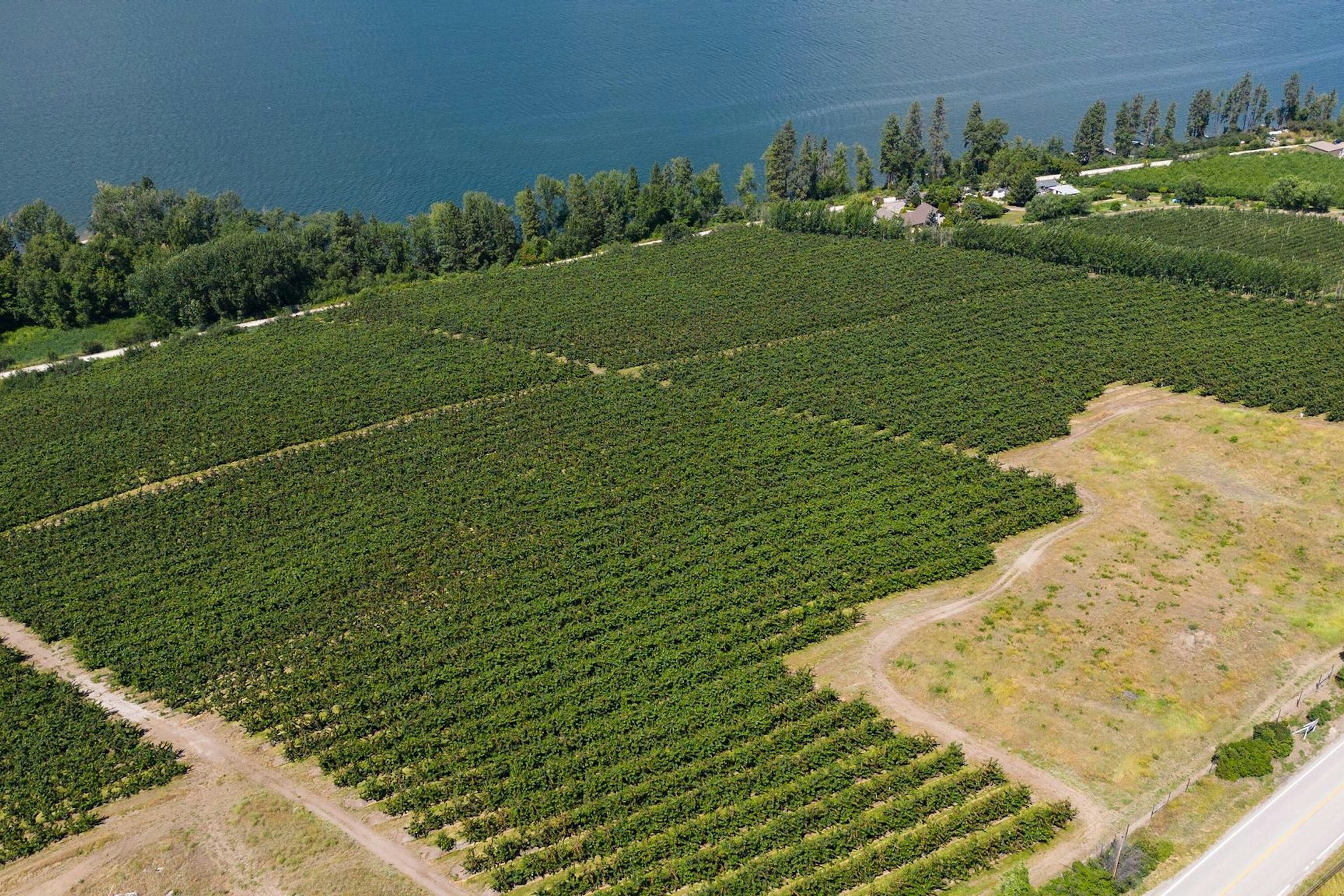 Lot-B Oyama Road, Lake Country, BC, V4V 2B7 - 8