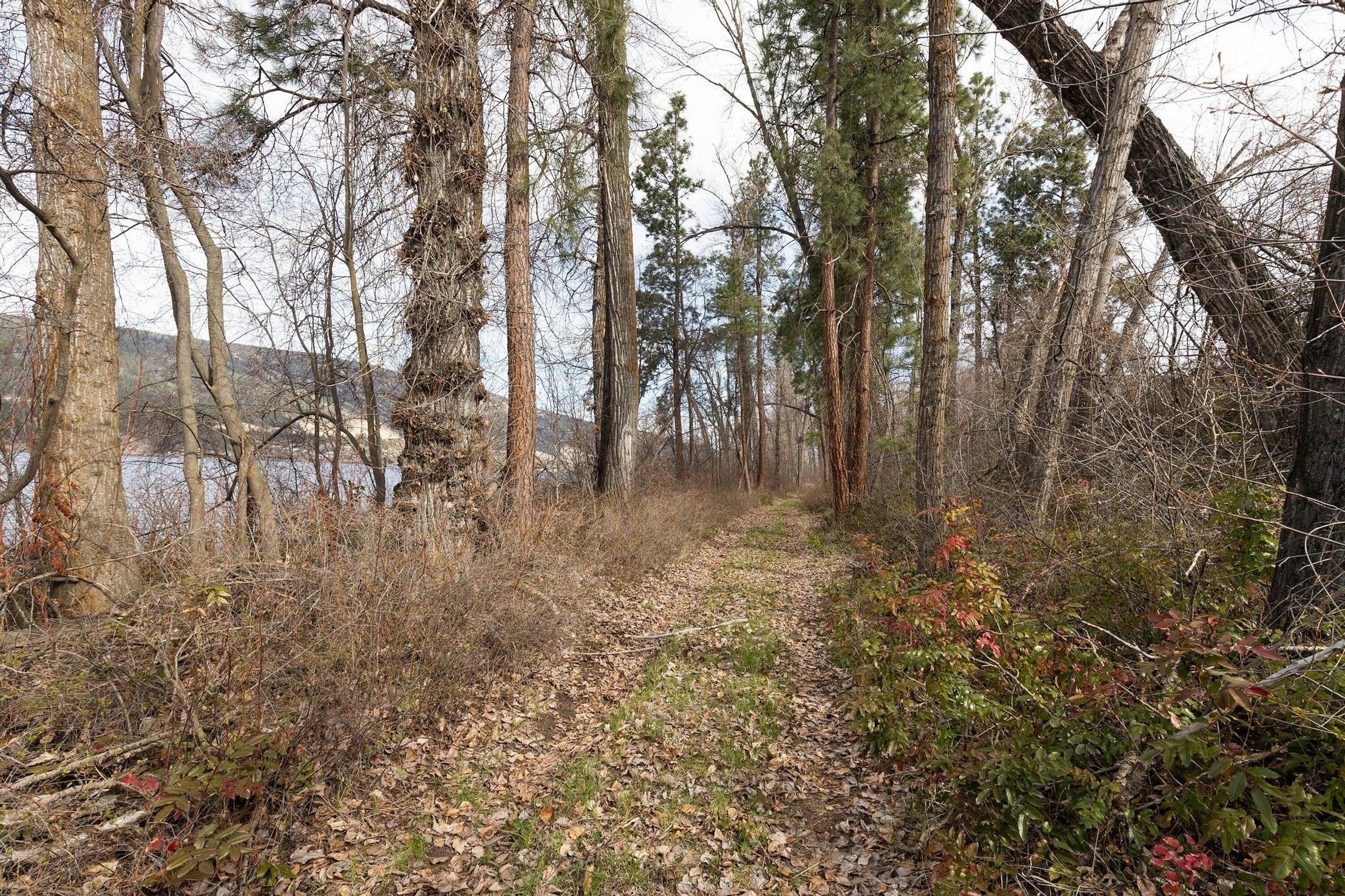 Lot-B Oyama Road, Lake Country, BC, V4V 2B7 - 13