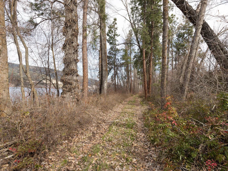 Lot-B Oyama Road, Lake Country, BC, V4V 2B7 - 13