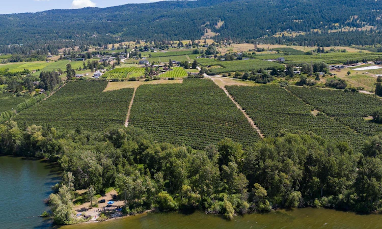 Lot-B Oyama Road