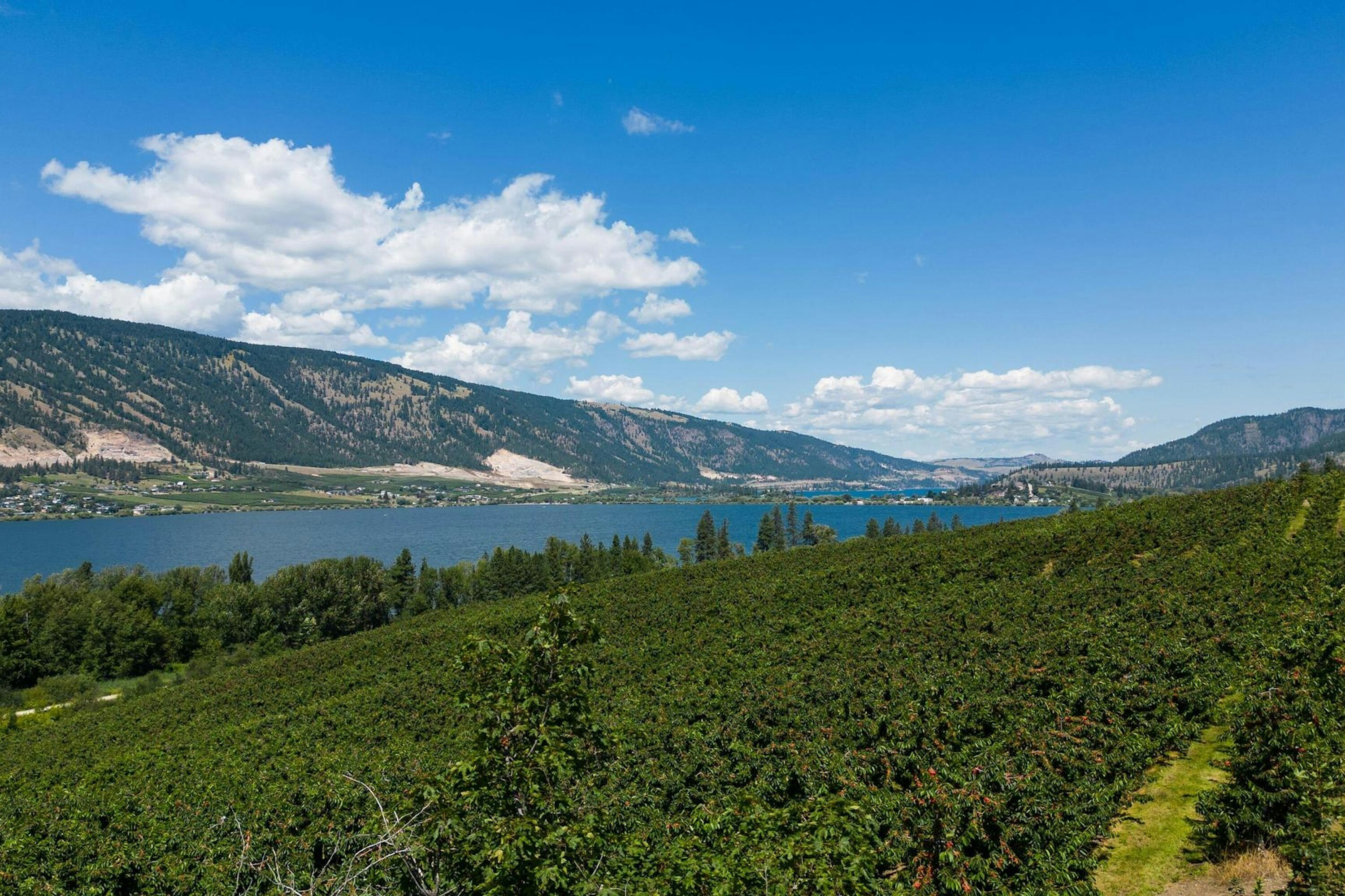 Lot-B Oyama Road, Lake Country, BC, V4V 2B7 - 12