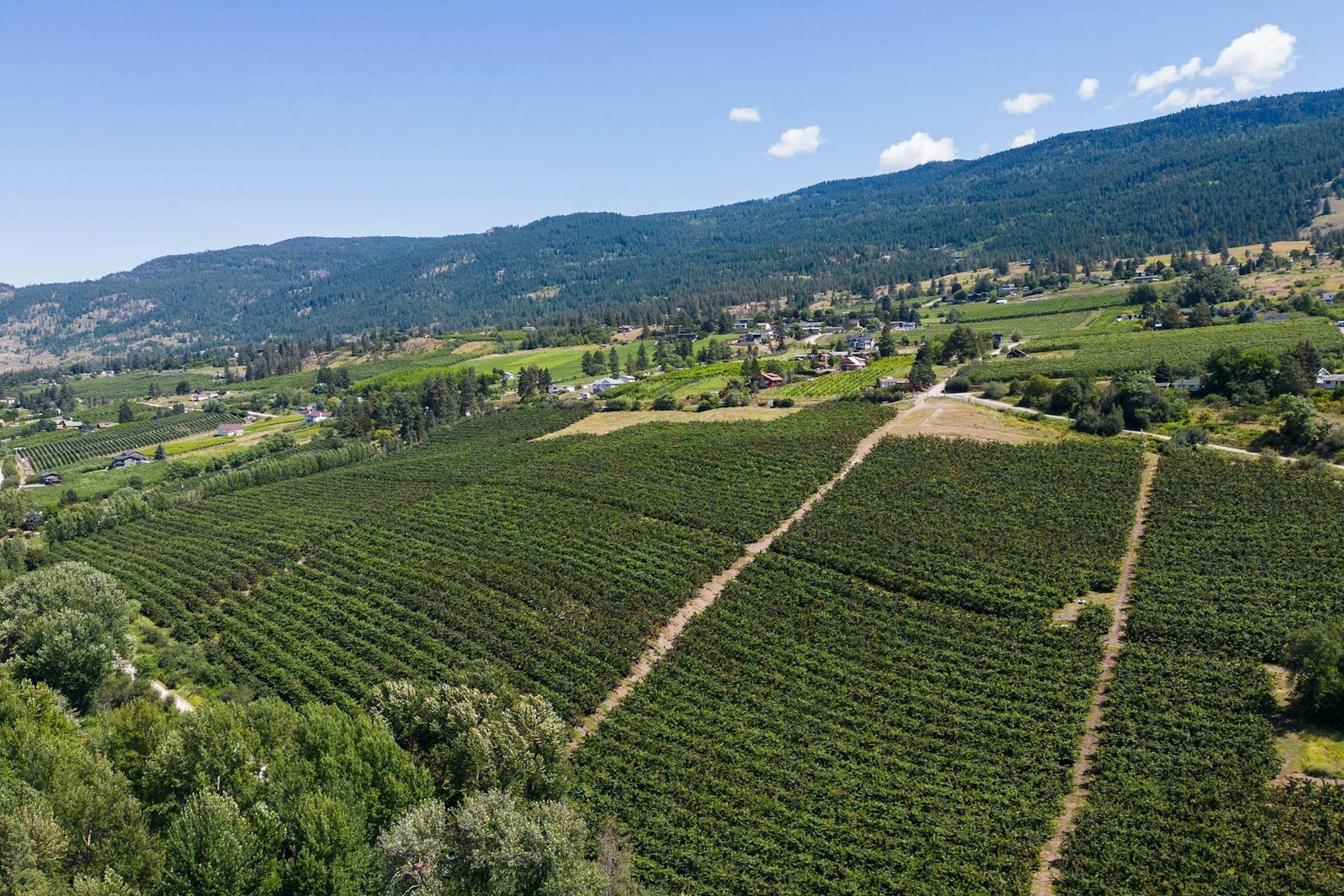 Lot-B Oyama Road, Lake Country, BC, V4V 2B7 - 11