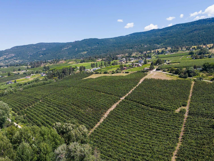 Lot-B Oyama Road, Lake Country, BC, V4V 2B7 - 11