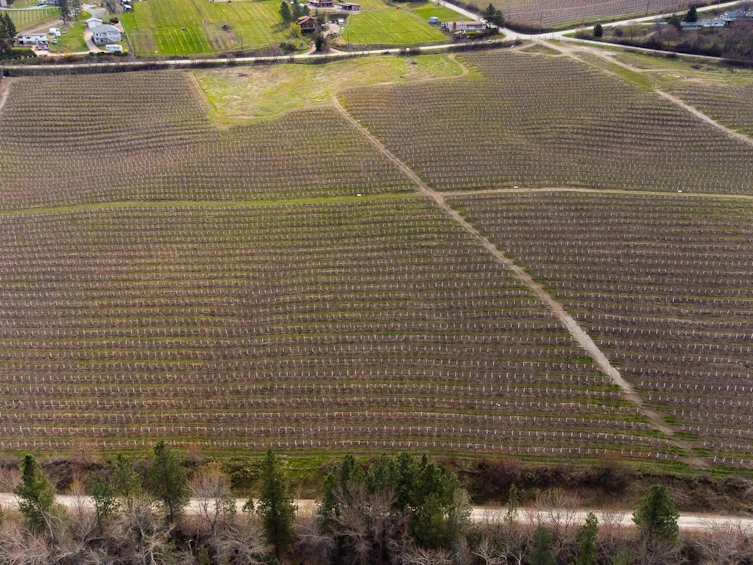 Lot-A Oyama Road, Lake Country, BC, V4V 2B7 - 10