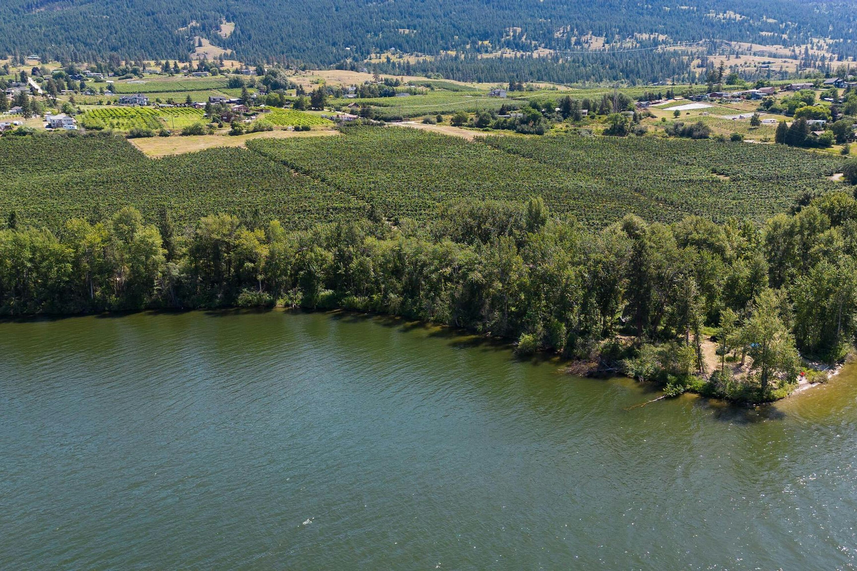 Lot-A Oyama Road, Lake Country, BC, V4V 2B7 - 21