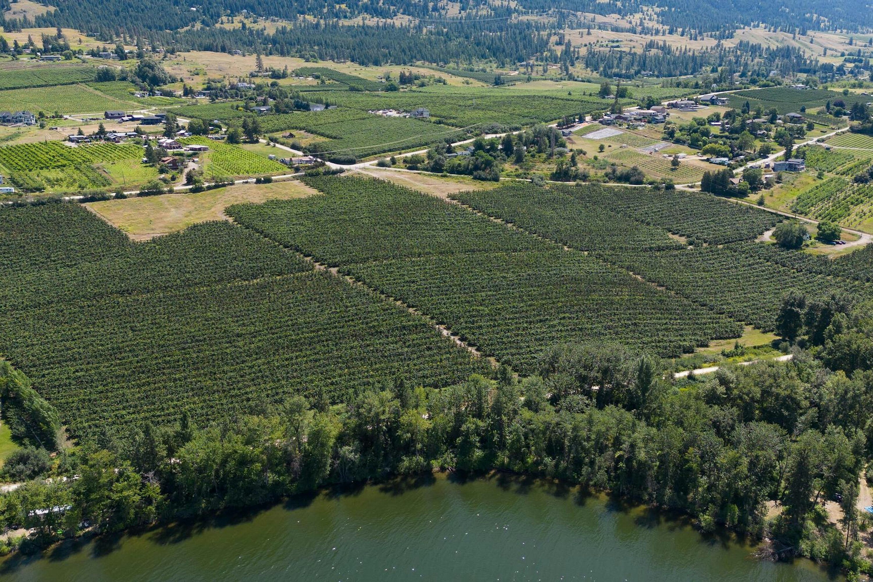 Lot-A Oyama Road, Lake Country, BC, V4V 2B7 - 7