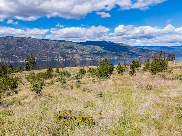 Lot-7 Tyndall Road, Lake Country, BC, V4V 0A9 - 11