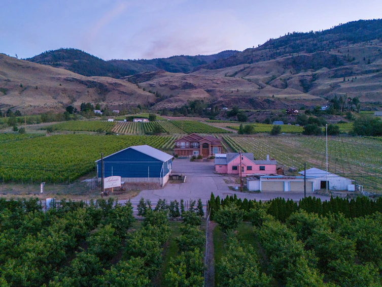 4564 97 Highway, Oliver, BC, V0H 1T1