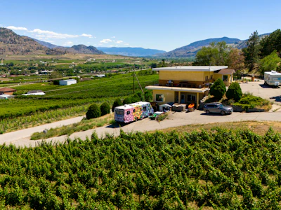 583 Tinhorn Creek Road - 3