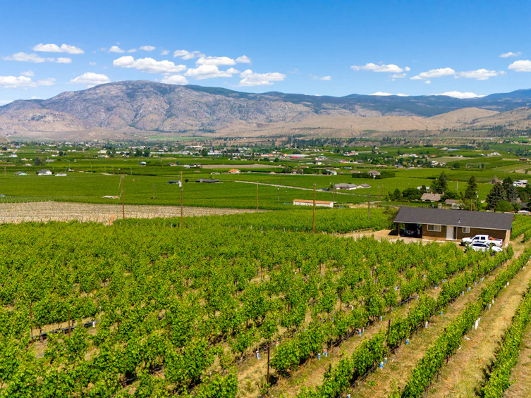 583 Tinhorn Creek Road, Oliver, BC, V0H 1T1 - 15