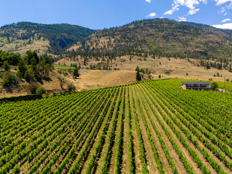 583 Tinhorn Creek Road, Oliver, BC, V0H 1T1 - 2