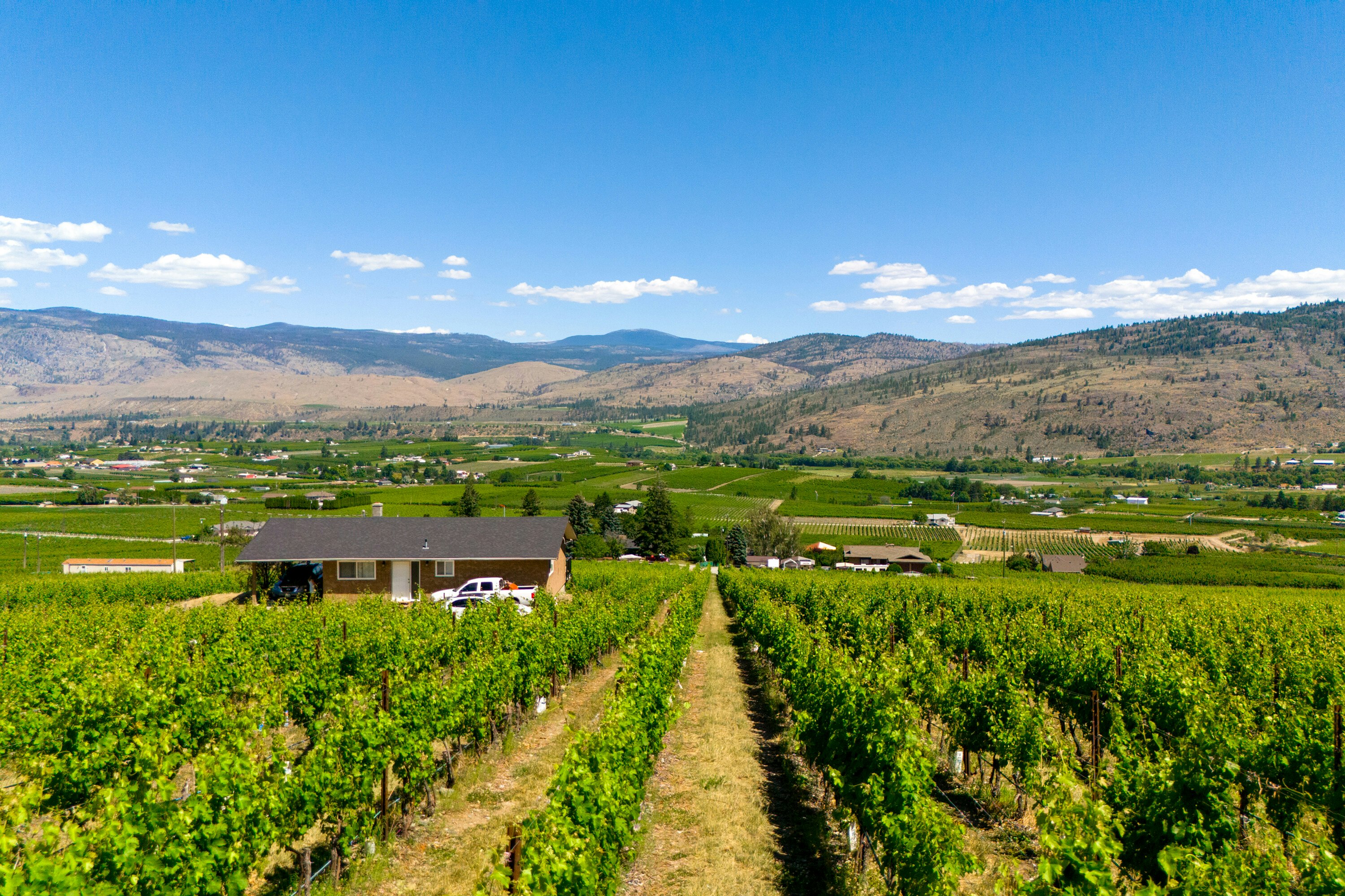 583 Tinhorn Creek Road, Oliver, BC, V0H 1T1 - 20