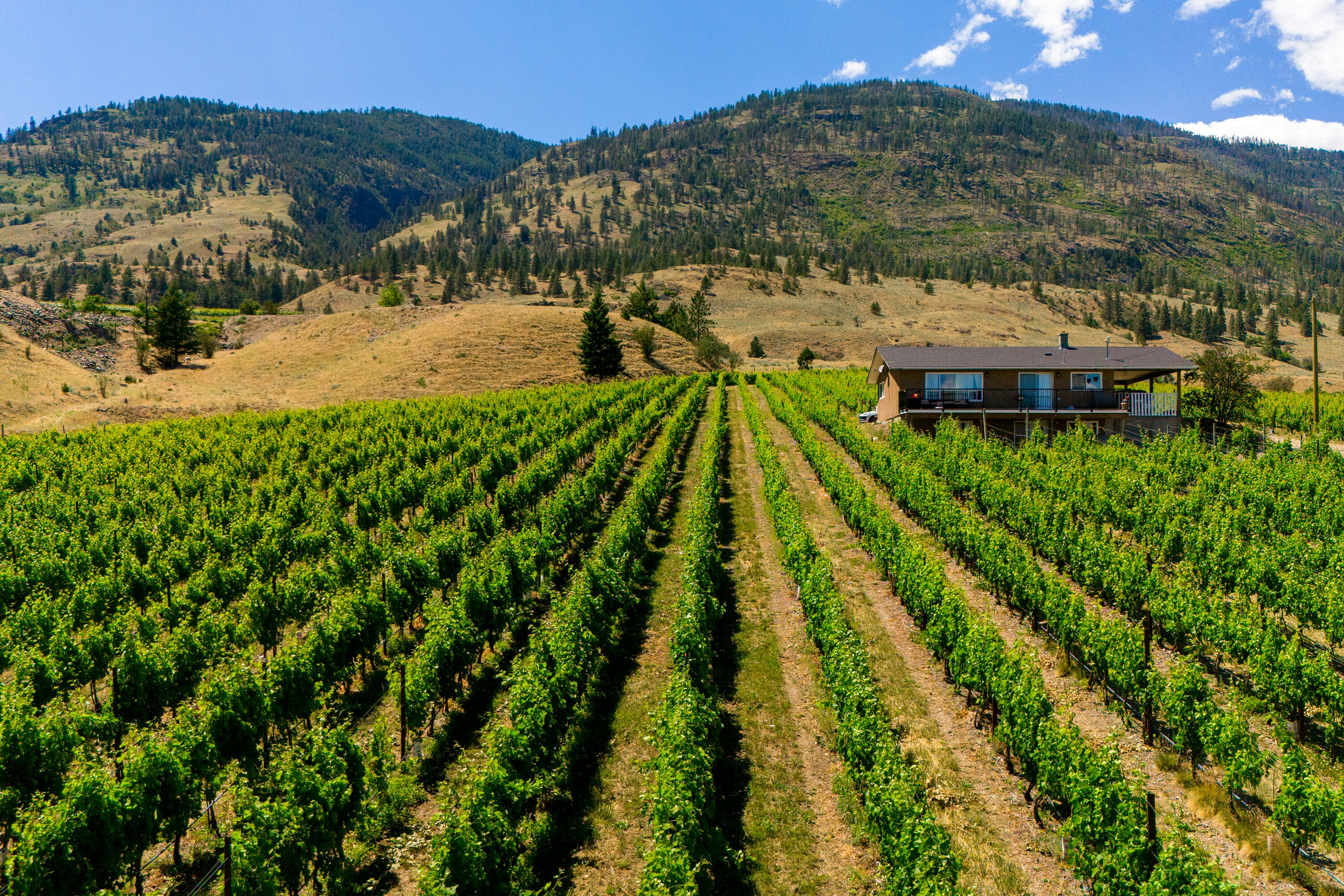583 Tinhorn Creek Road, Oliver, BC, V0H 1T1 - 10