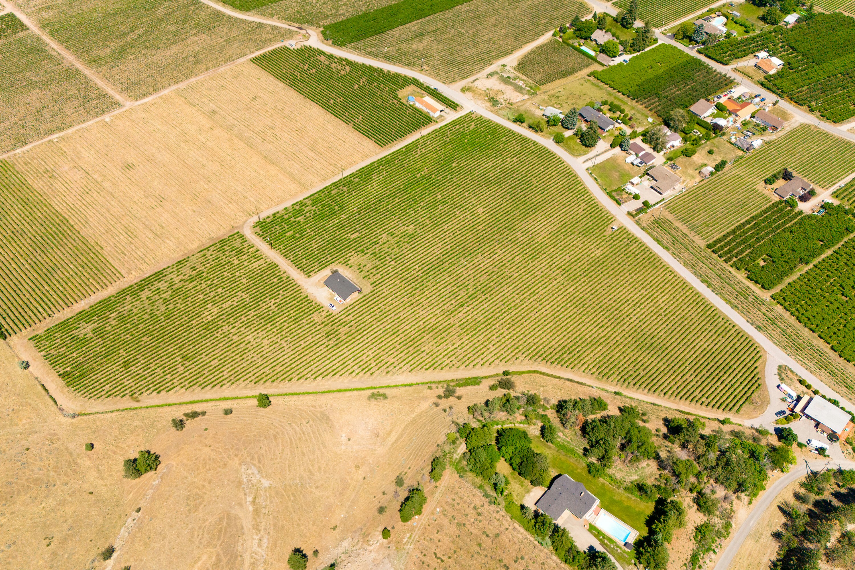 583 Tinhorn Creek Road, Oliver, BC, V0H 1T1 - 9
