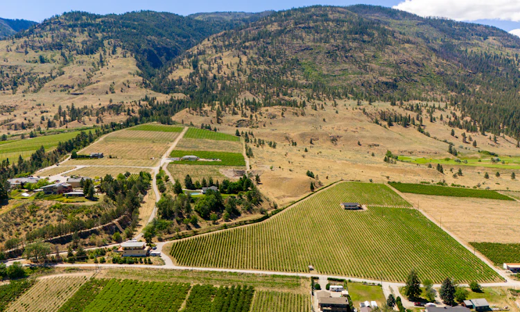 583 Tinhorn Creek Road