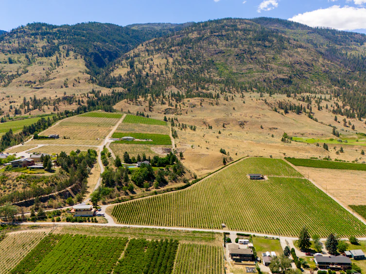 583 Tinhorn Creek Road, Oliver, BC, V0H 1T1