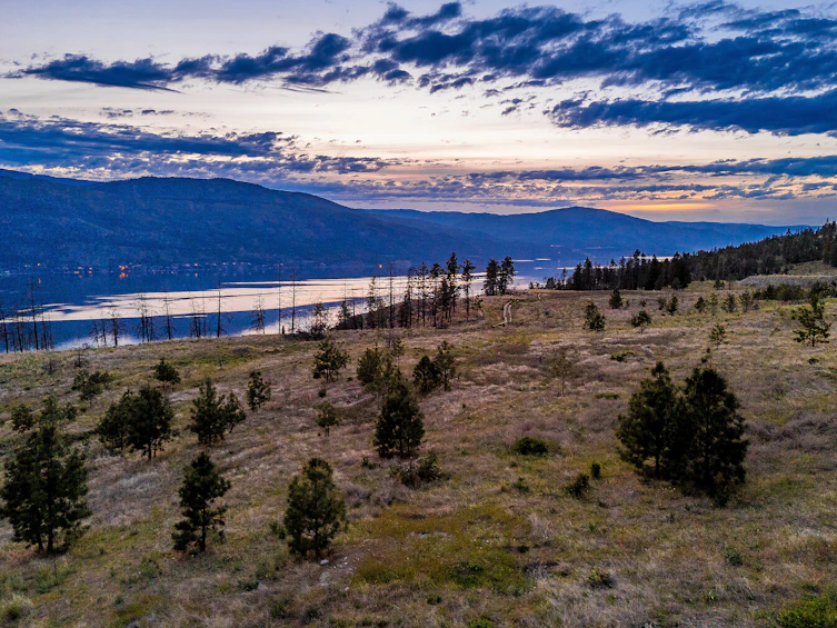 Lot-4 Tyndall Road, Lake Country, BC, V4V 0A9 - 29