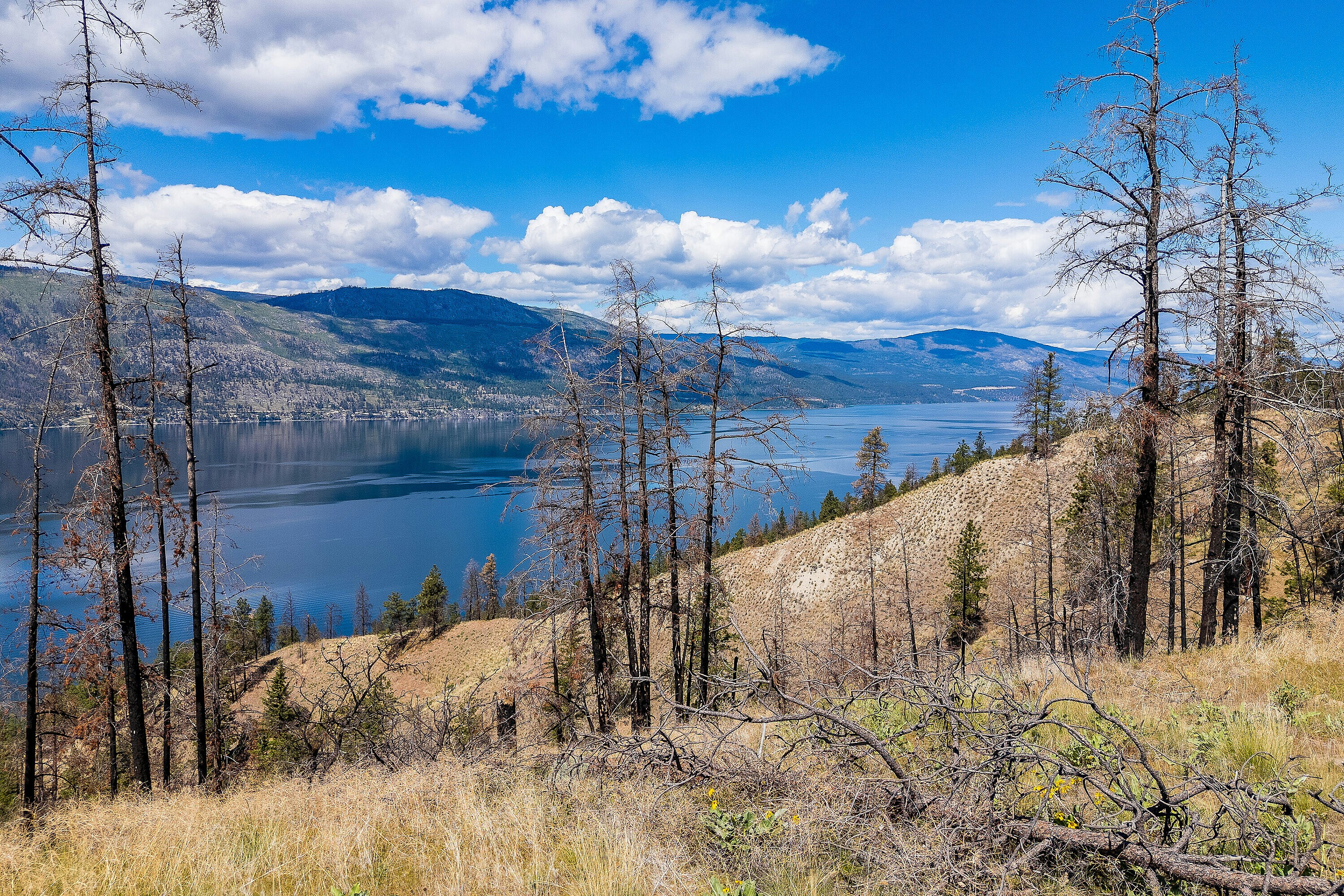 Lot-10 Tyndall Road, Lake Country, BC, V4V 0A9 - 17