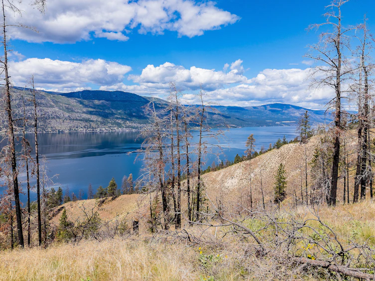 Lot-14 Tyndall Road, Lake Country, BC, V4V 0A9 - 17
