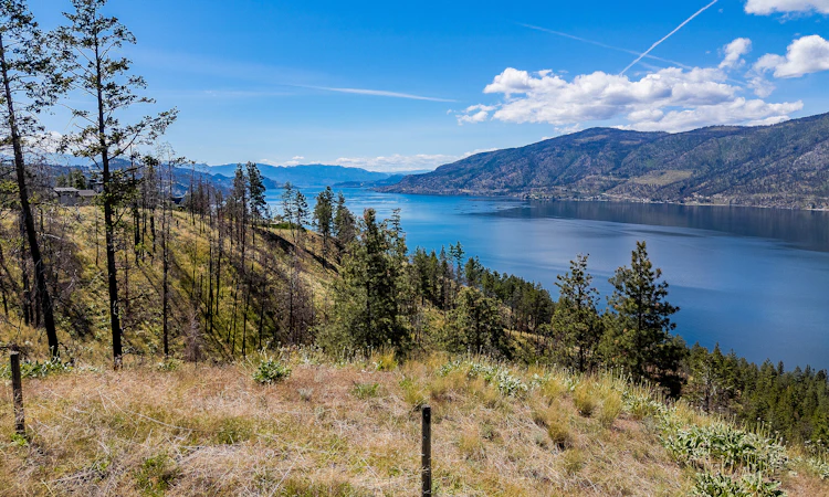 Lot-15 Tyndall Road