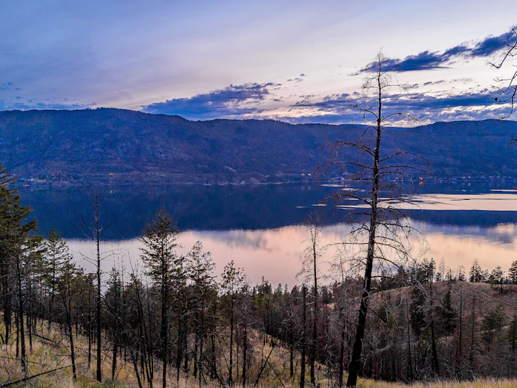 Lot-18 Tyndall Road, Lake Country, BC, V4V 0A9 - 28