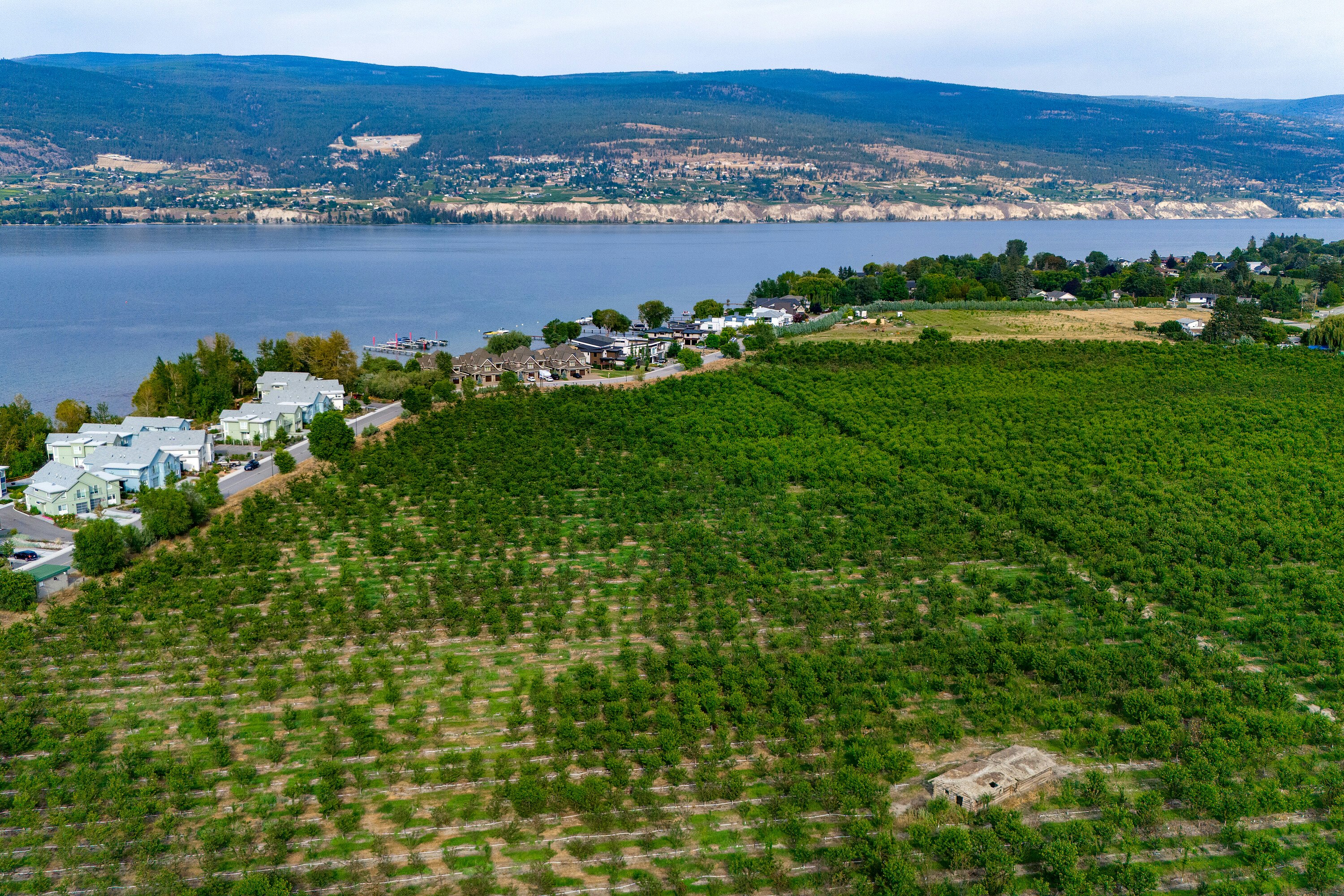 4500 Landry Crescent, Summerland, BC, V0H 1Z9 - 12
