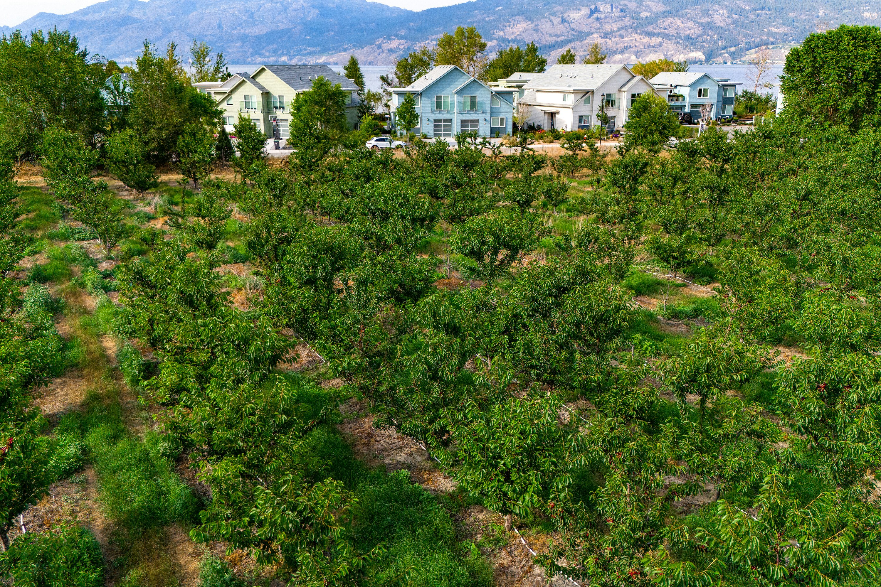 4500 Landry Crescent, Summerland, BC, V0H 1Z9 - 19