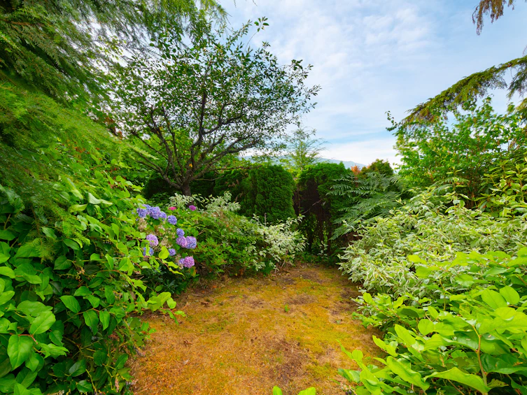 805 Younette Drive, West Vancouver, BC, V7T 1T1 - 55