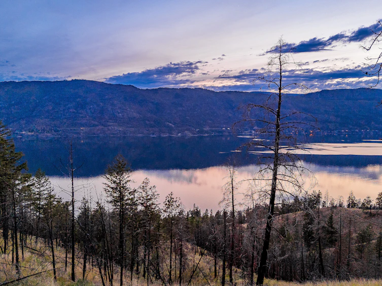 Lot-19 Tyndall Road, Lake Country, BC, V4V 0A9 - 27