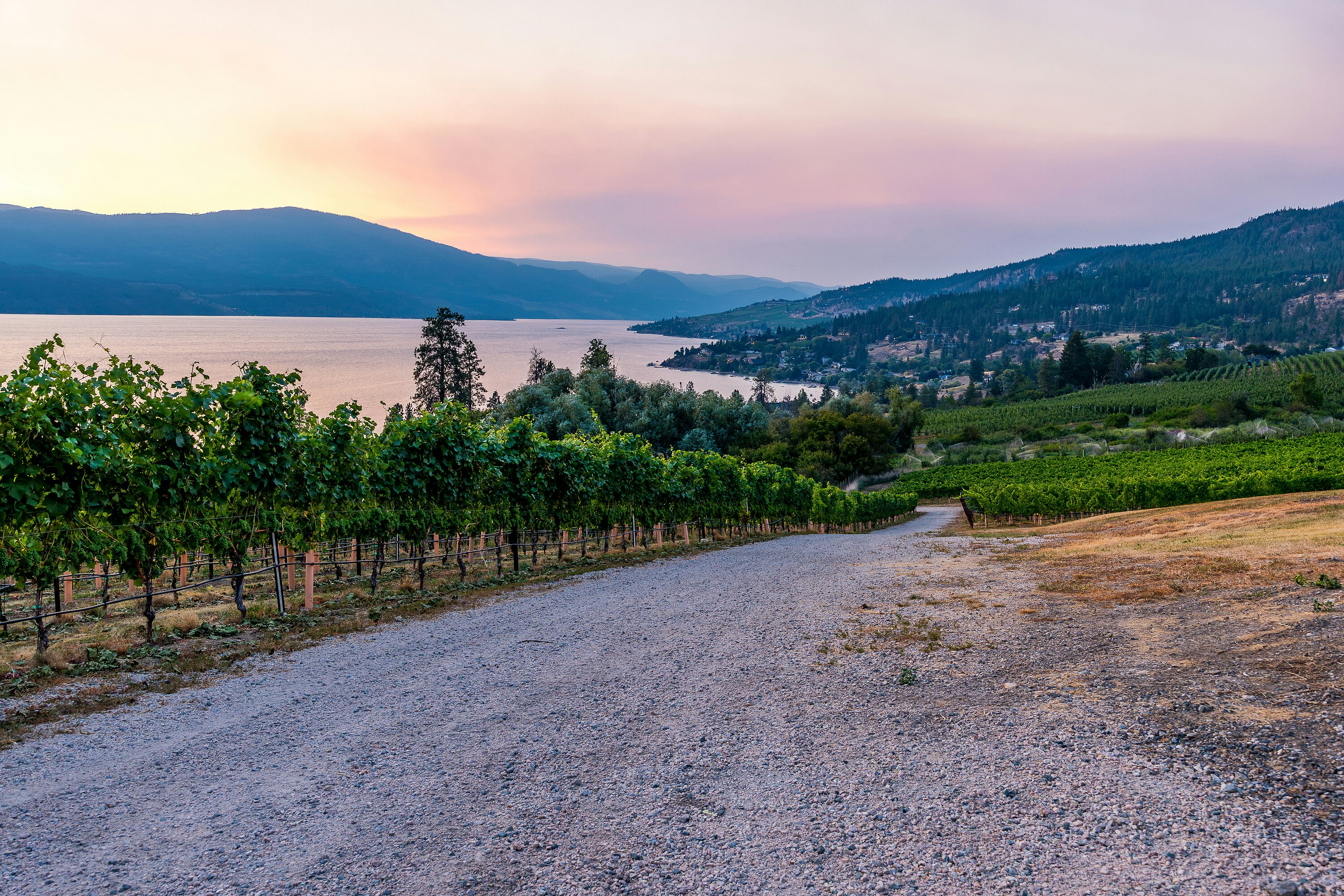 1090 Camp Road, Lake Country, BC, V4V 2H4 - 92