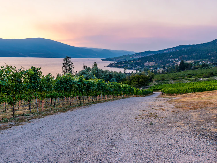 1090 Camp Road, Lake Country, BC, V4V 2H4 - 92