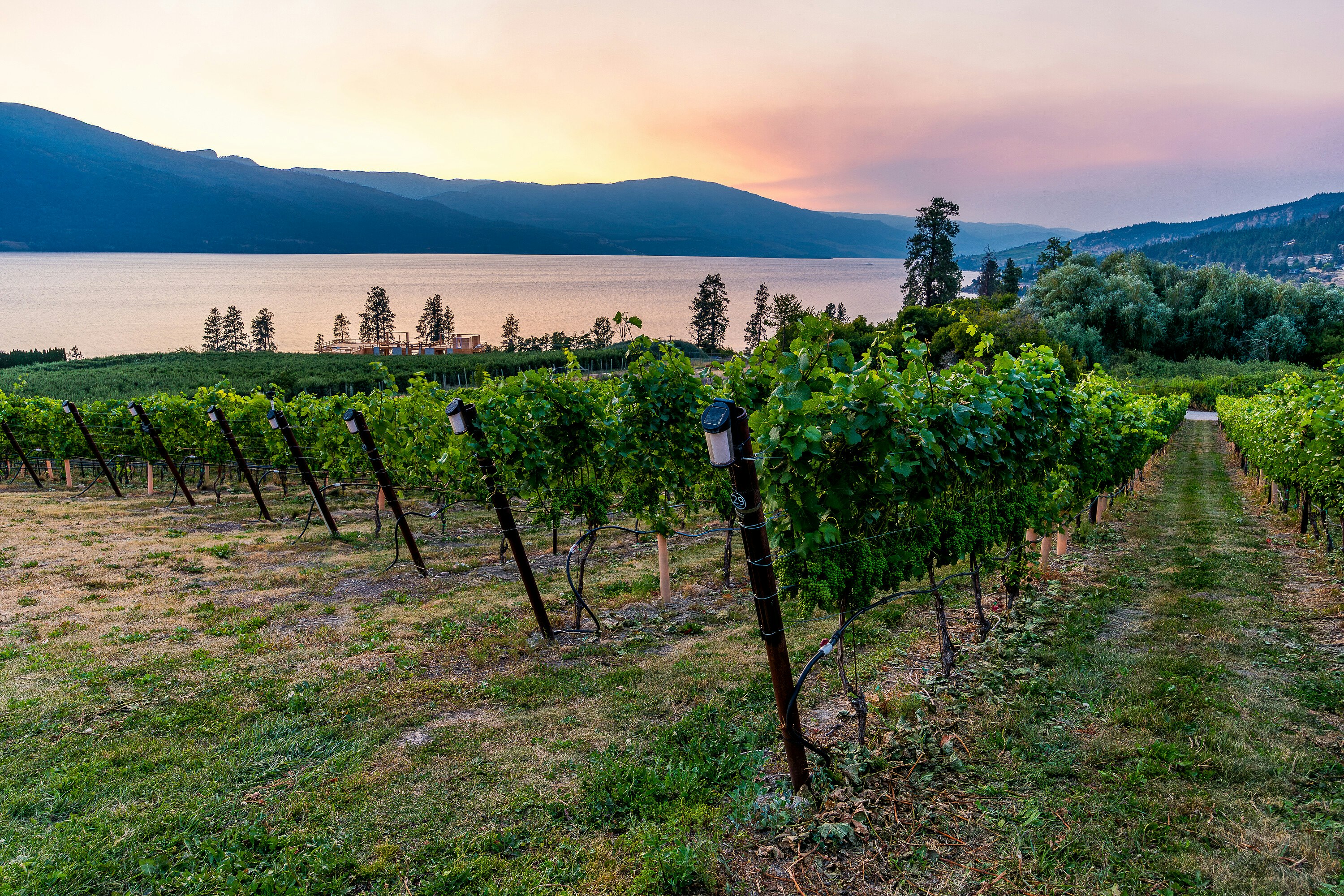 1090 Camp Road, Lake Country, BC, V4V 2H4 - 93