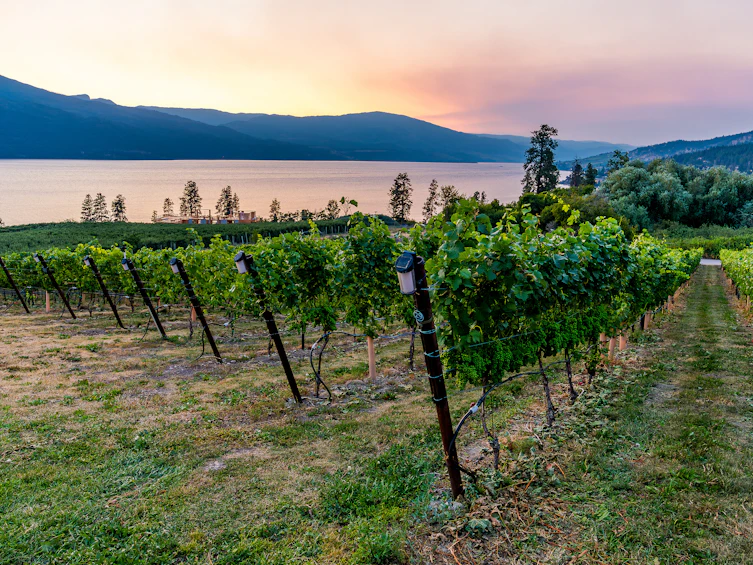 1090 Camp Road, Lake Country, BC, V4V 2H4 - 93