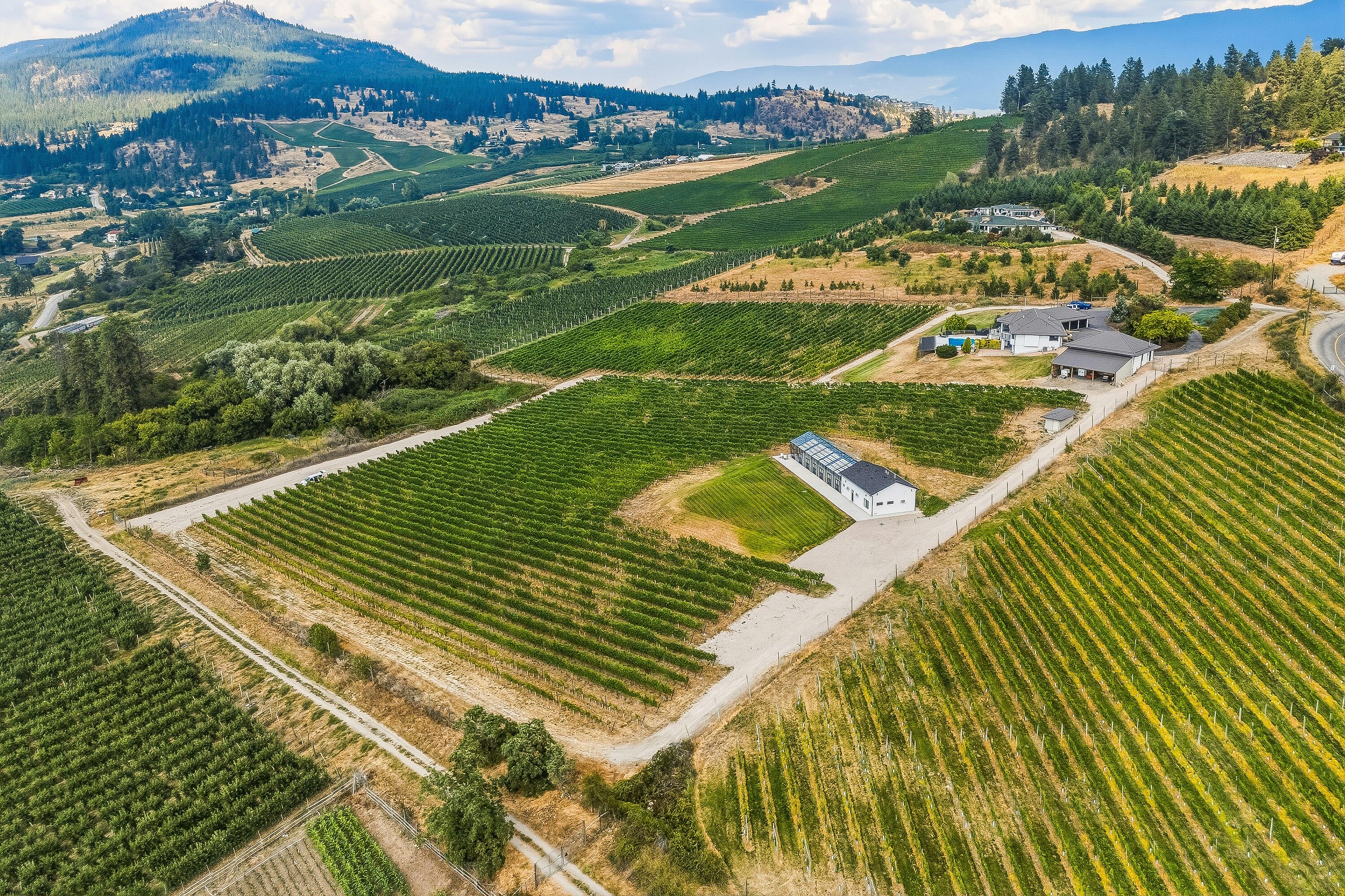 1090 Camp Road, Lake Country, BC, V4V 2H4 - 102