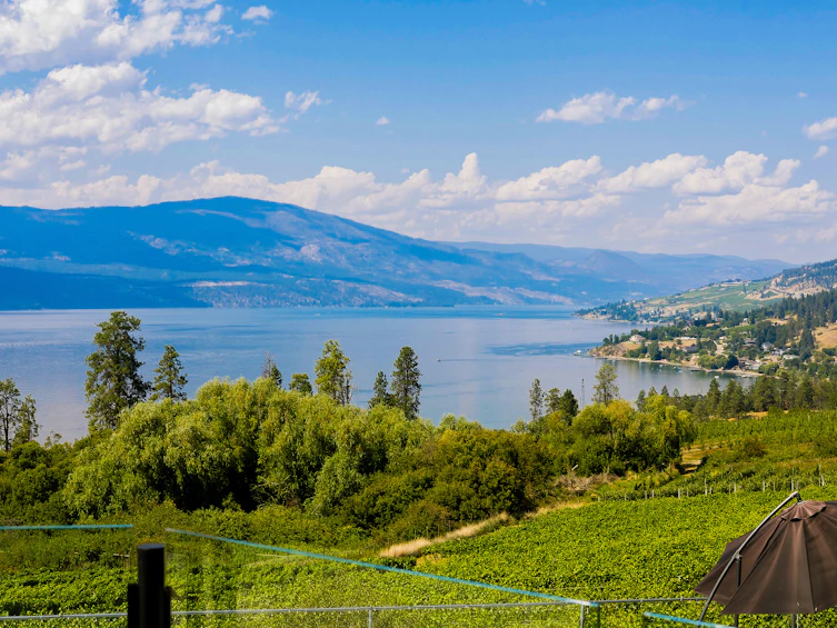 1090 Camp Road, Lake Country, BC, V4V 2H4 - 28