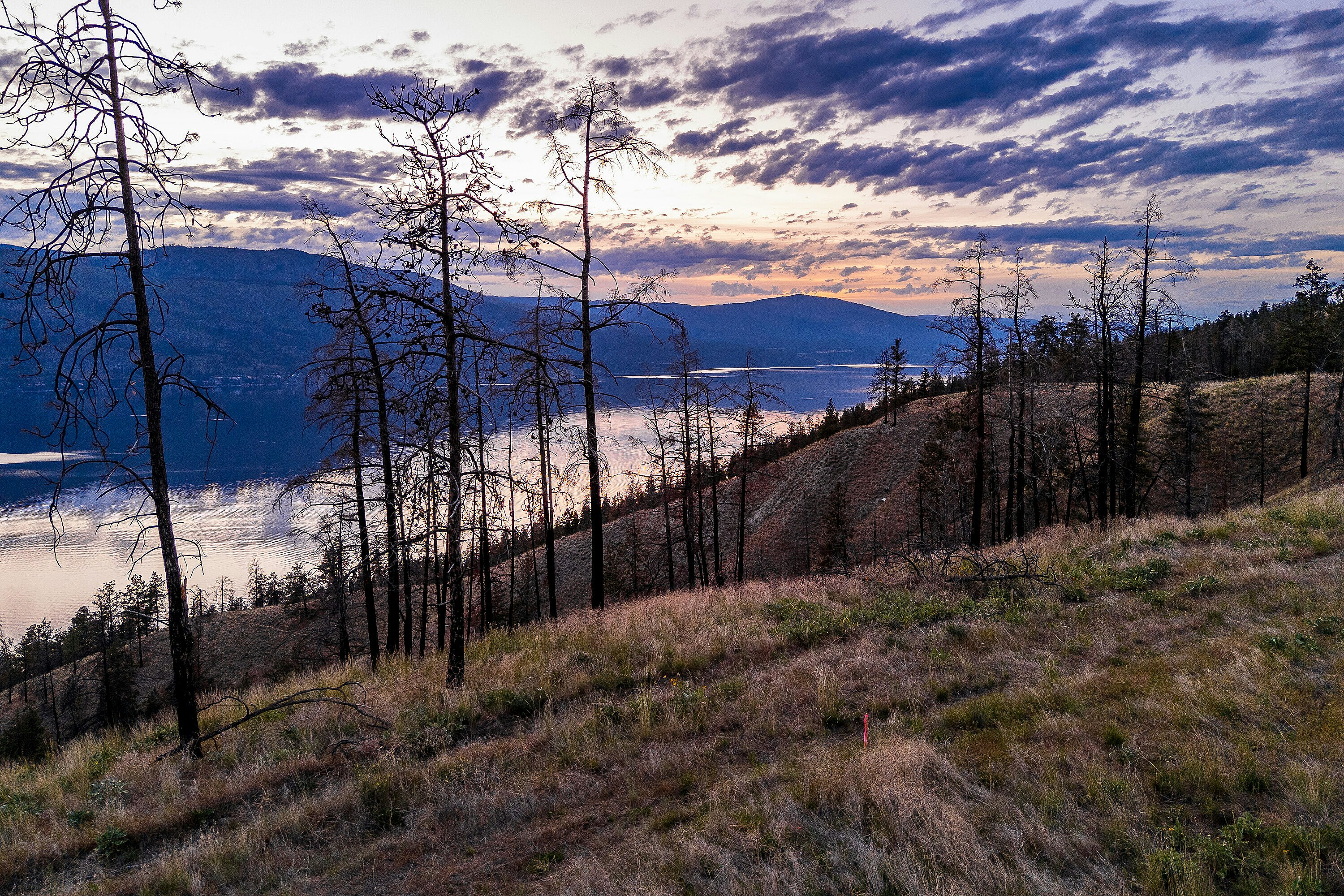 Lot-22 Tyndall Road, Lake Country, BC, V4V 0A9 - 31