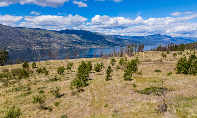 Lot-24 Tyndall Road