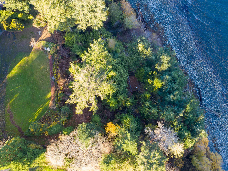 511 Soriel, Parksville, BC, V9P 1A4 - 37
