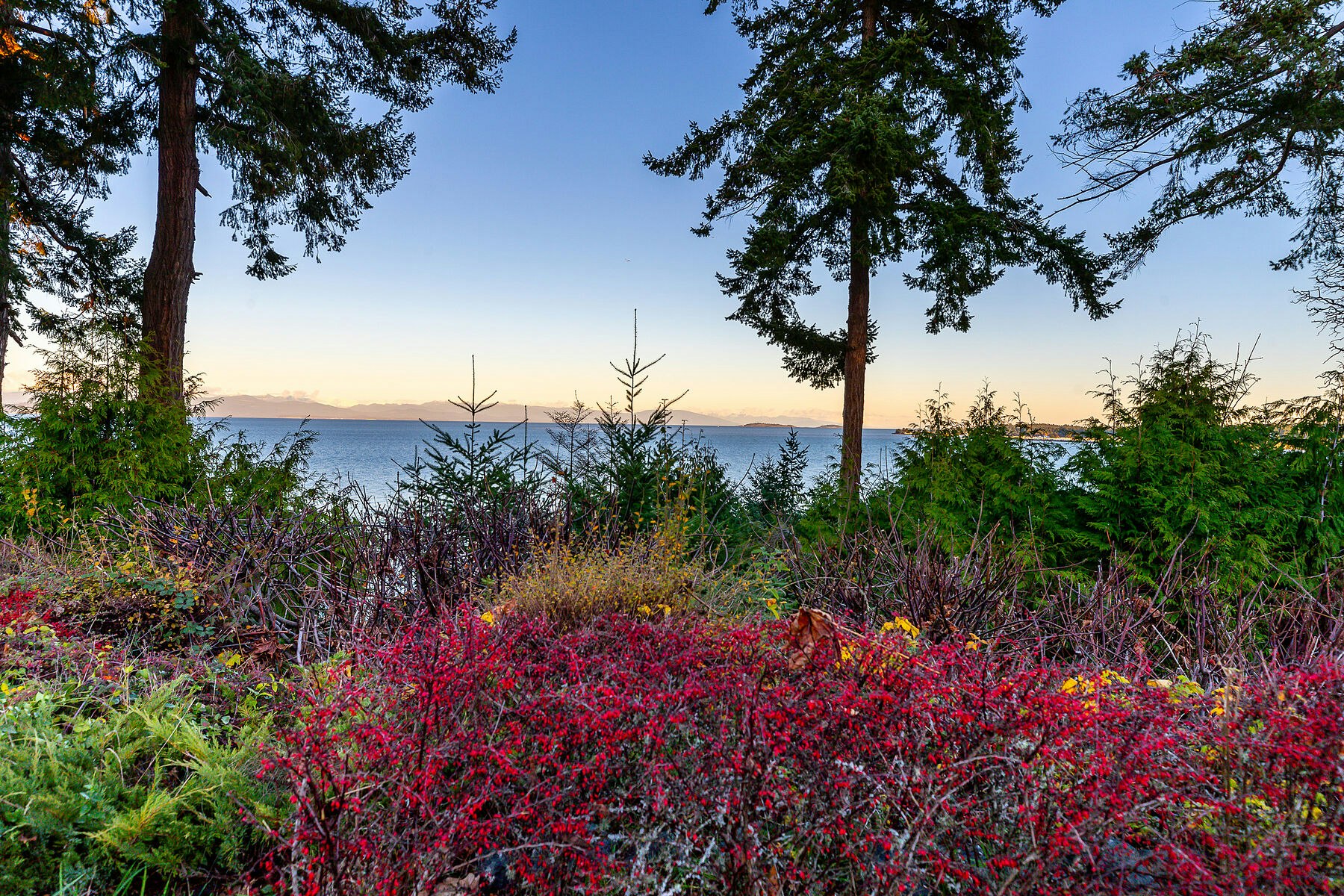 511 Soriel, Parksville, BC, V9P 1A4 - 41