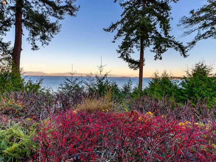 511 Soriel, Parksville, BC, V9P 1A4 - 41