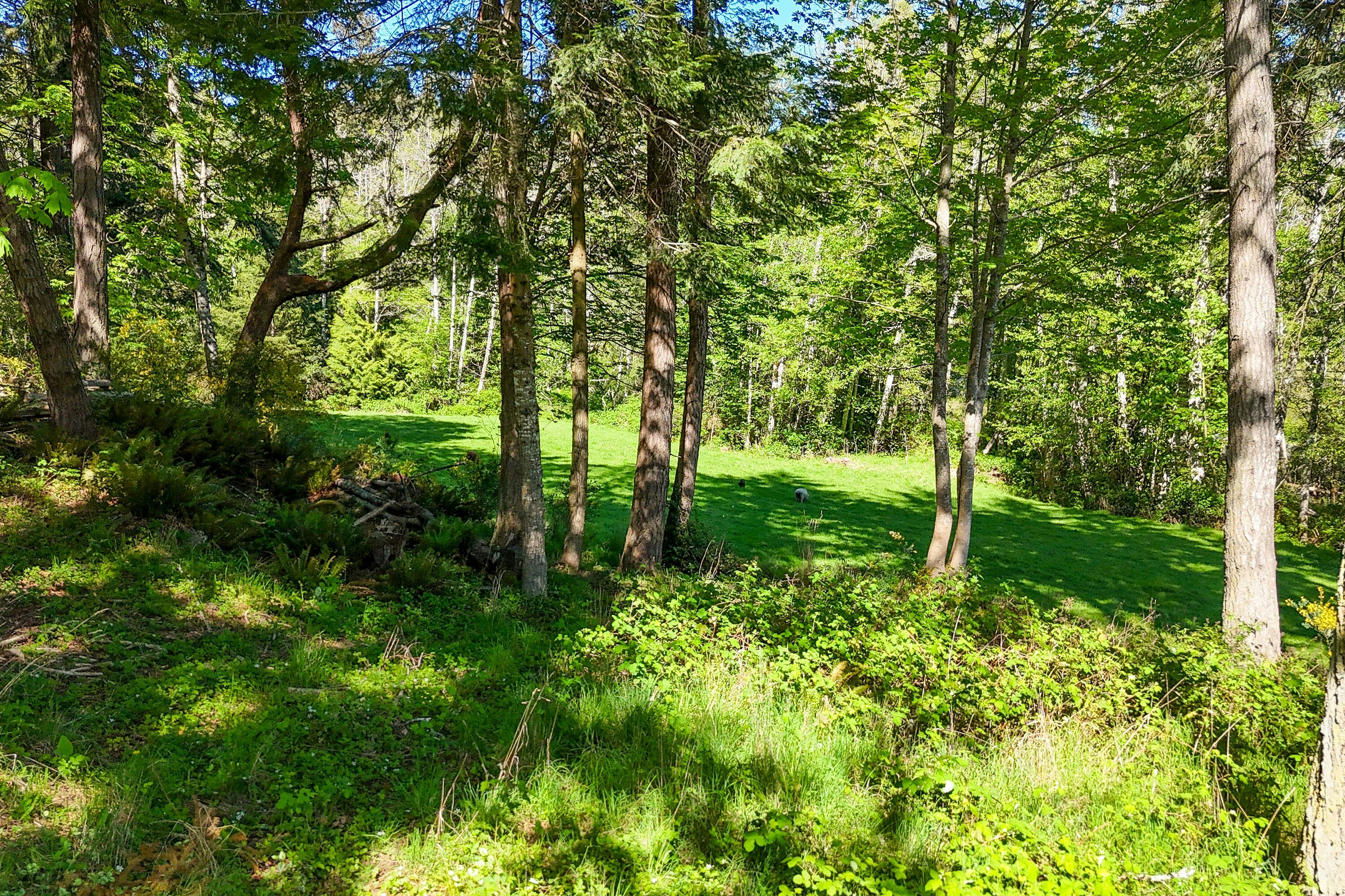 265 Lower Ganges Road, Salt Spring Island, BC, V8K 1S7 - 33