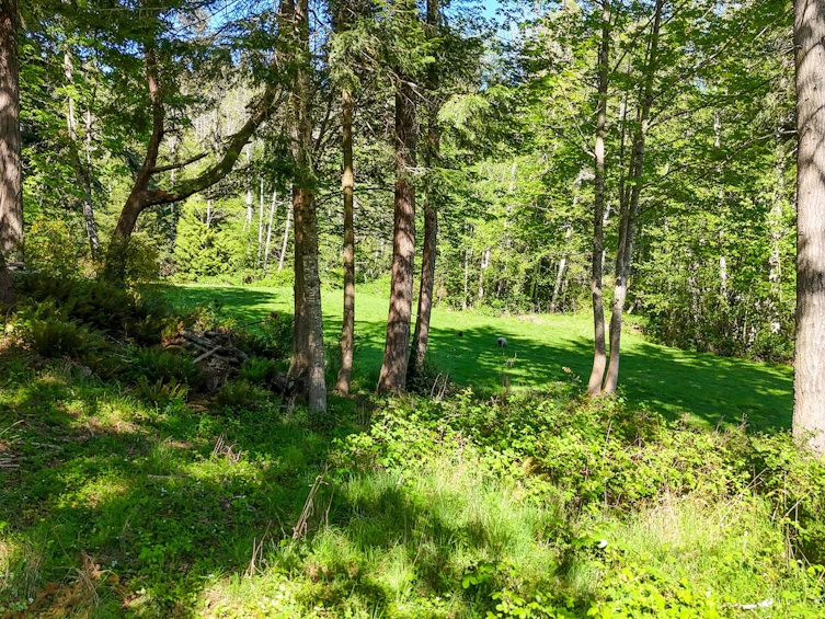 265 Lower Ganges Road, Salt Spring Island, BC, V8K 1S7 - 33
